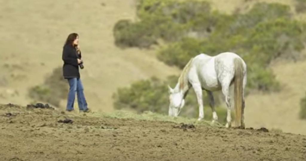 Πλησίασε ένα άγριο άλογο…όταν όμως γονάτισε για να βγάλει φωτογραφία…(βίντεο)