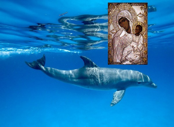 Τα δελφίνια έβγαλαν την εικόνα της Παναγίας στην ακτή